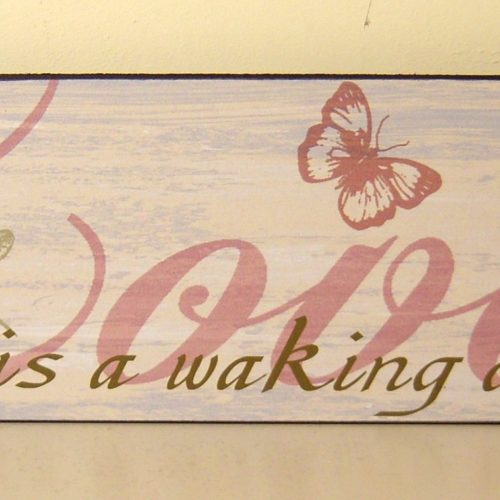 VINTAGE STLYE WOODEN  WALL PLAQUE/HANGING SIGN ‘Love is a walking dream’